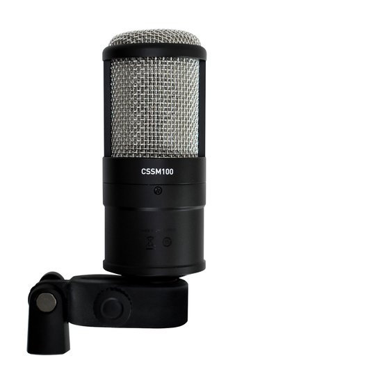 CSSM100 - view 2