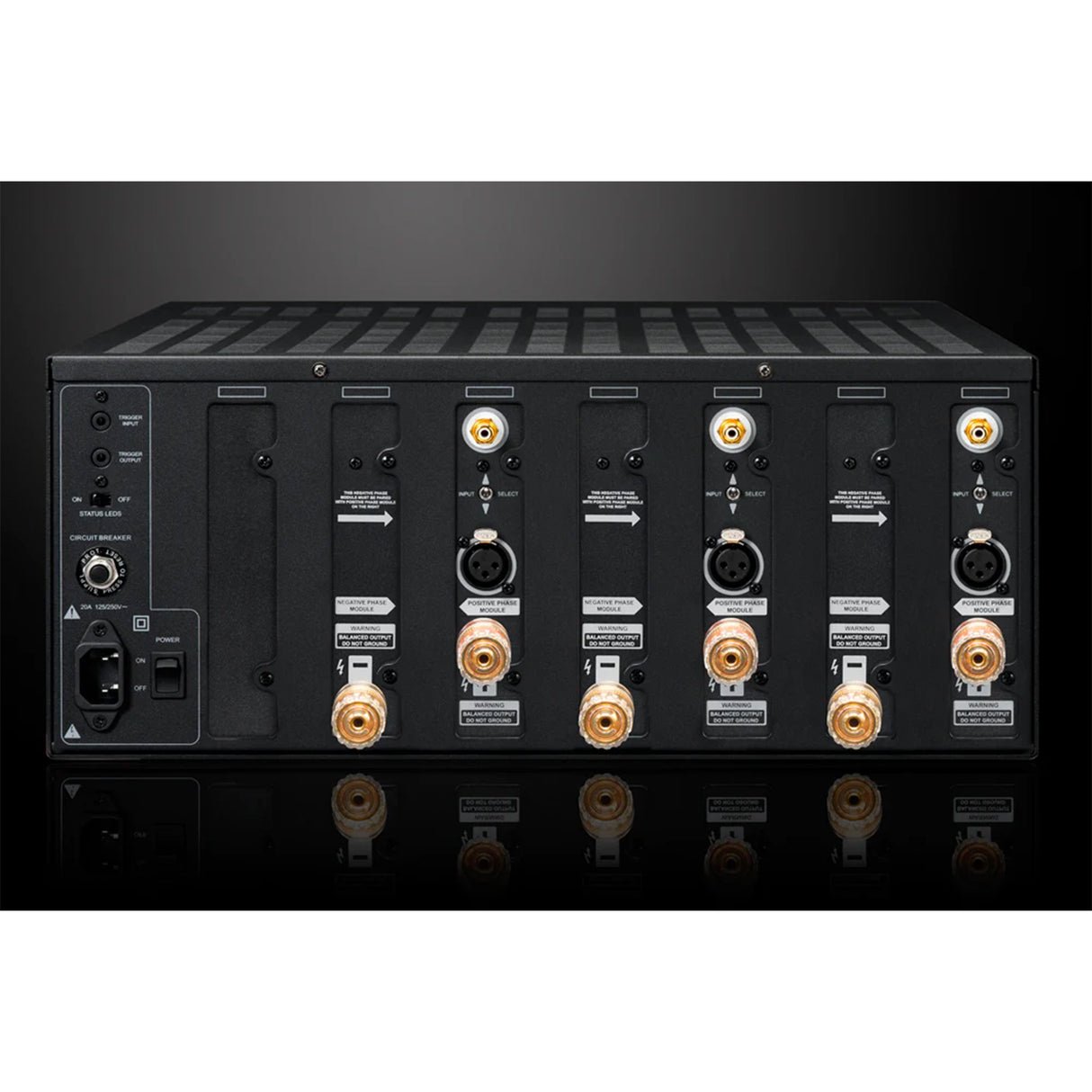 Emotiva XPA-DR3 Differential Reference 3 Channel Power Amplifier - view 3