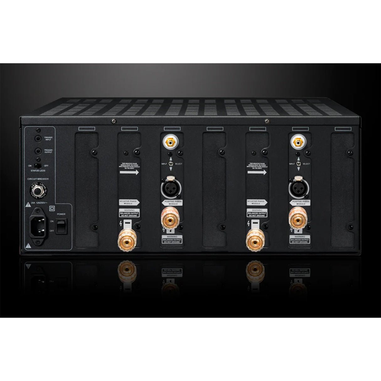 Emotiva XPA-DR2 Differential Reference 2 Channel Power Amplifier - view 2
