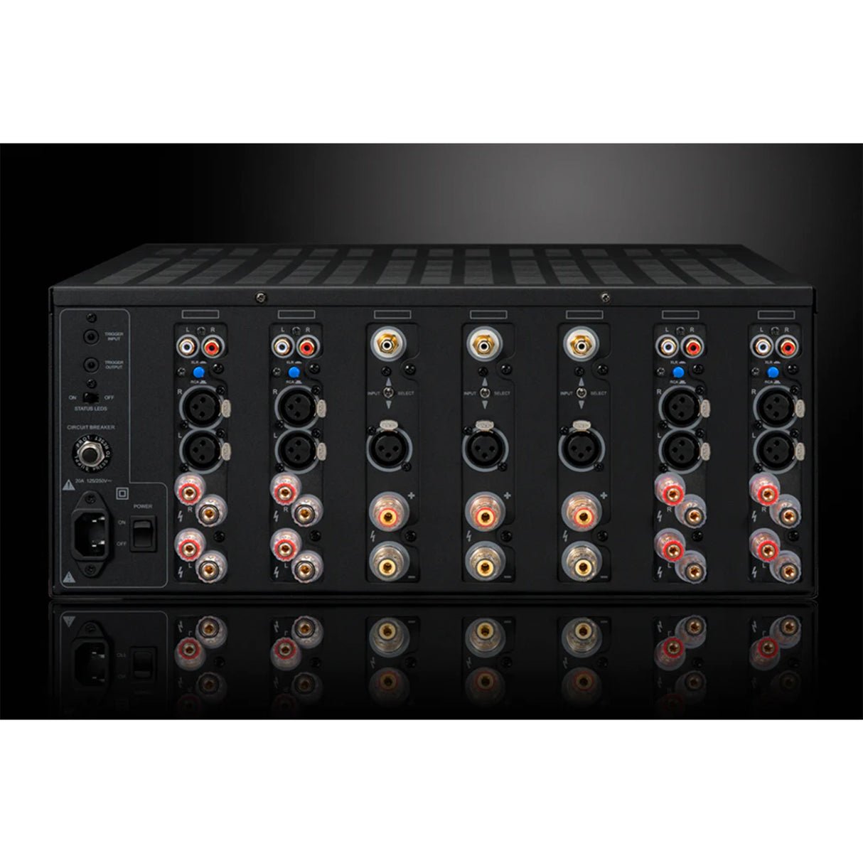 Emotiva XPA-11 Gen3 - 11 Channel Audiophile Power Amplifier - view 2