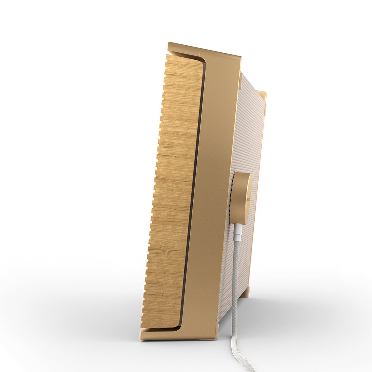 Bang & Olufsen Sound Level - Portable WiFi Speaker - view 4