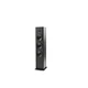 Polk Audio T50- 2-Way Floor Standing Speaker (Pair) - view 1