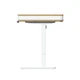 Tono Motion Craft L5 - Motorised Standing Desk - view 2
