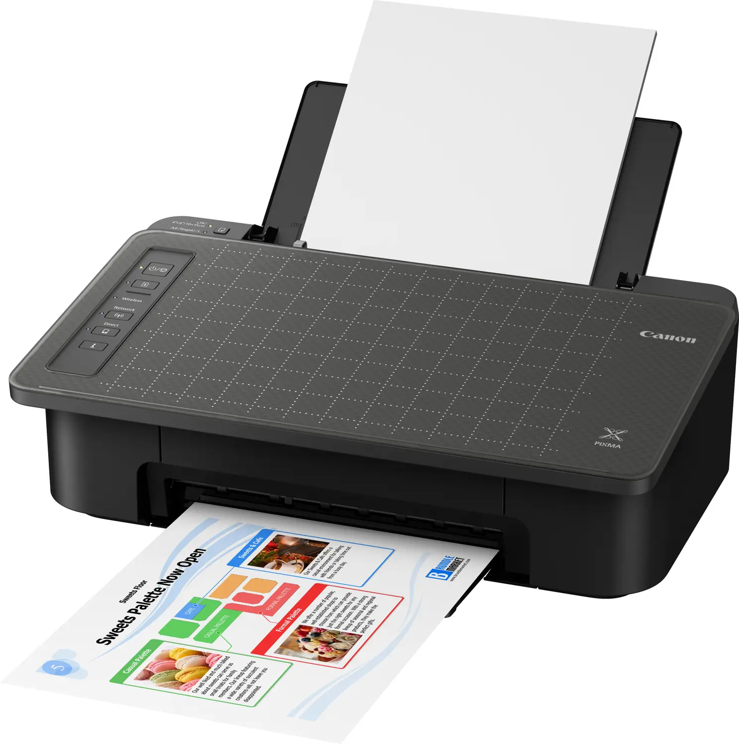 Canon PIXMA TS307, TS307A Single Function WiFi Color Inkjet Printer - view 2